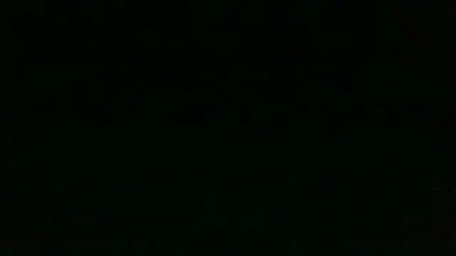 Chichoplus1 Show in webcam