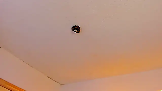 Czat XXX na żywo – AnnyCherry_