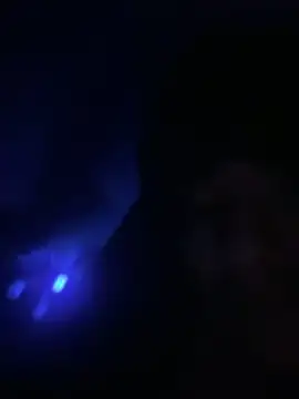 big-angel22 Webcam-Show