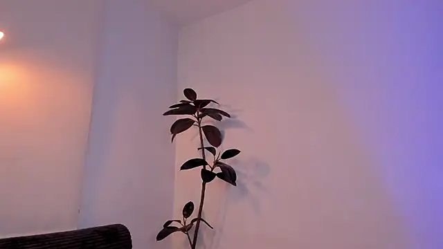 Chat +18 de Im_Maria ao vivo