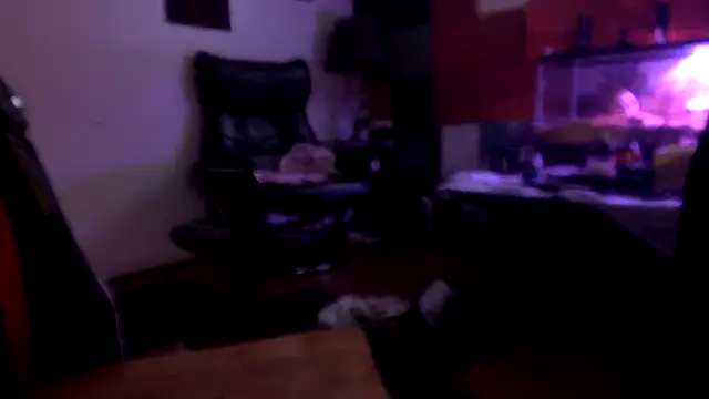 Show Webcam de TheHellBilly