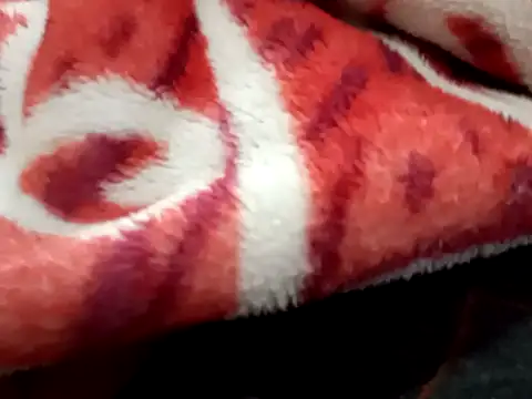 Thickblacksexyn Webbikameraesitys