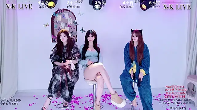 XK-2005のウェブカメラショー