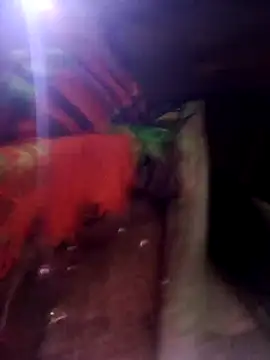 Zhan99999's Webcam Show