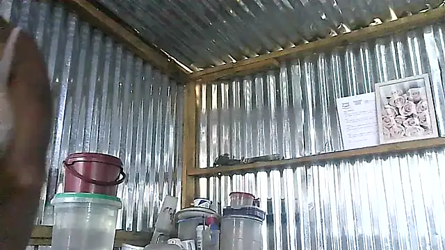 Chatroom XXX en direct de BLACKMALF