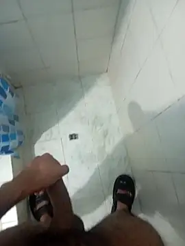 prototipoA45 Webcam Show