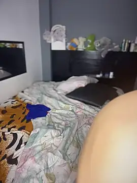 Kailertwink 网络视讯表演