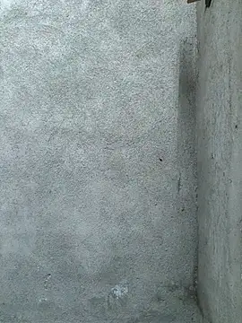 kitty_113 Chat XXX in diretta