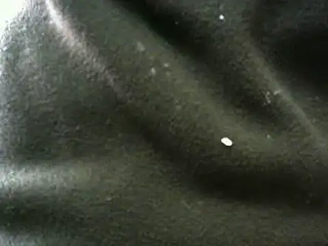 vuran691: απευθείας συνομιλία ΧΧΧ