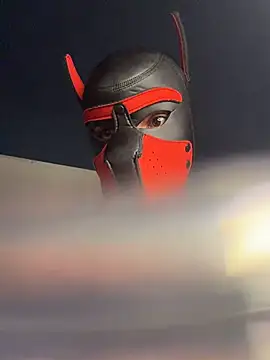 XXX chat uživo modela zamir333