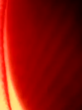 Levarboy Live XXX-Chat