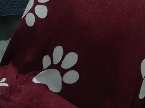 Lihanjor__23 Live XXX-Chat