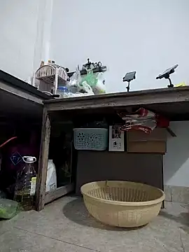 Haralushiaaa 라이브 XXX 채팅