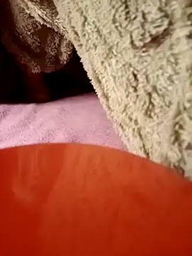 Chat XXX Live -Bunny-y