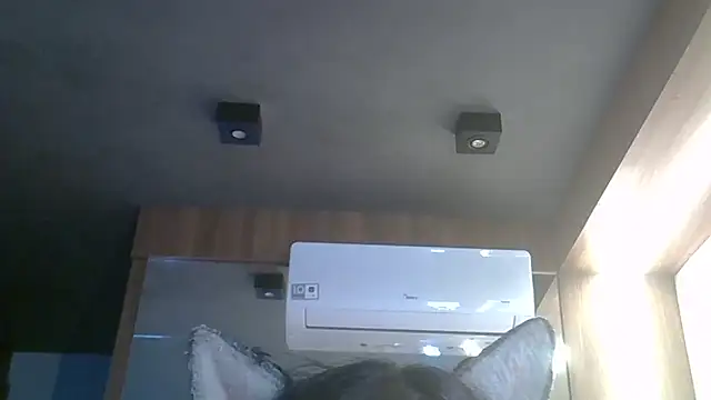 Show de webcam de SkinnyKitten