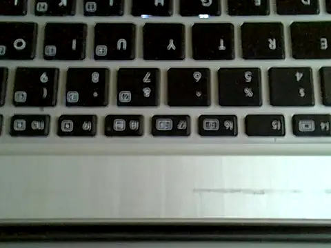 Delicious-D Webcam Show