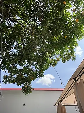 Chatroom XXX en direct de Namii_cute