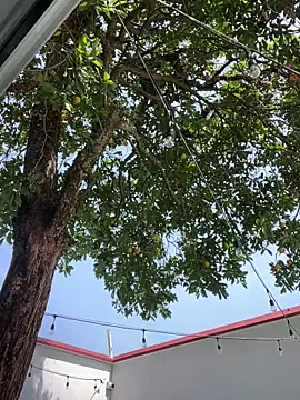 Namii_cute's Live XXX Chat