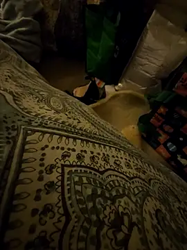 Heist2009 Webcamshow