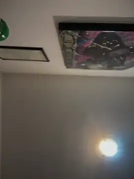 SecretlyDD Show Webcam