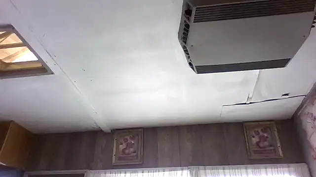 Show webcam de Duanennnn