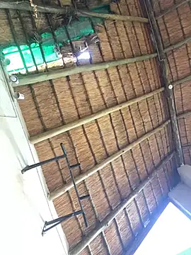 kwandero1234 即時 XXX 聊天