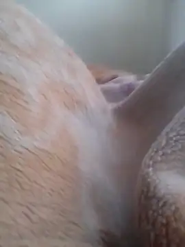 Narstycock Webcam Show