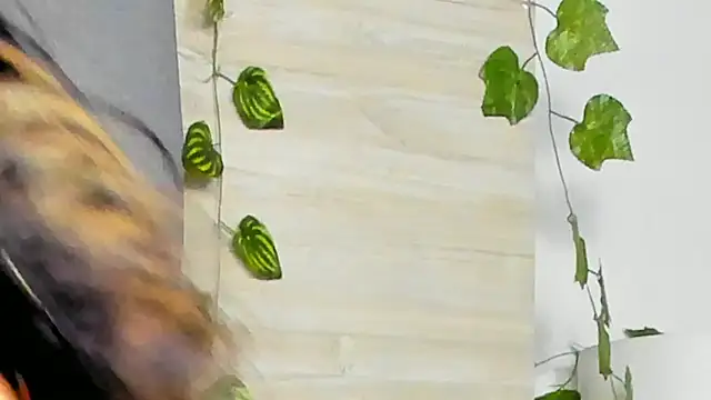 alannawillde Live XXX-chat