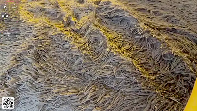 RinaMirinda 即時 XXX 聊天