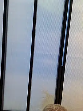 suizoloco76: απευθείας συνομιλία ΧΧΧ