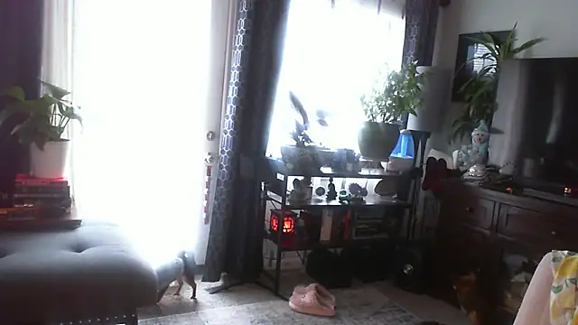 CeceilaMoon – Live XXX-chat