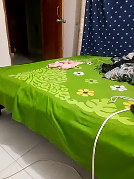 Arisha12 网络视讯表演