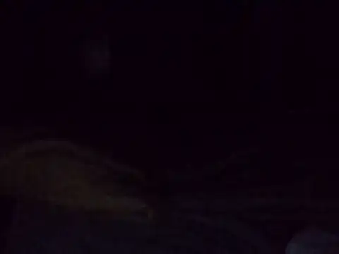 sweet-fancy's Live XXX Chat