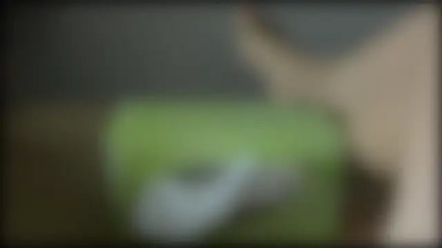 adelaide2026's Live XXX Chat