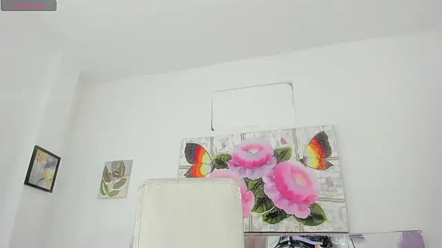 barbie_ds Webcam show