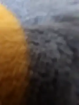 Boyshow88 Show Webcam