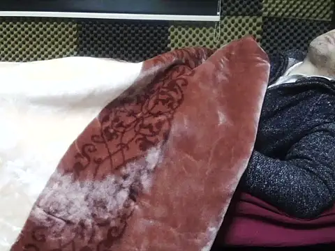 عرض كام Arabeyes