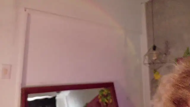 Živý XXX chat Haelycute