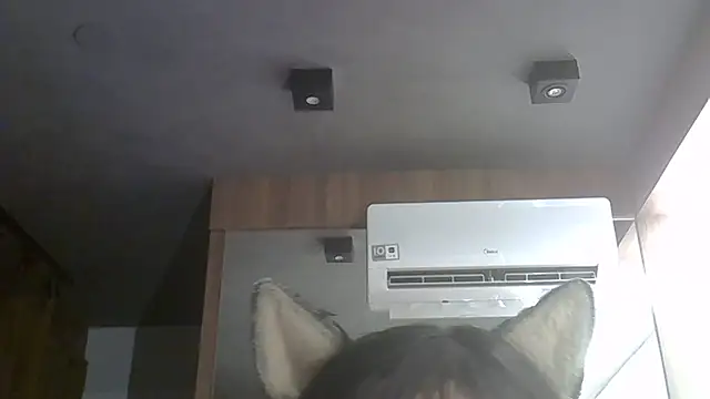 SkinnyKitten's Live XXX Chat