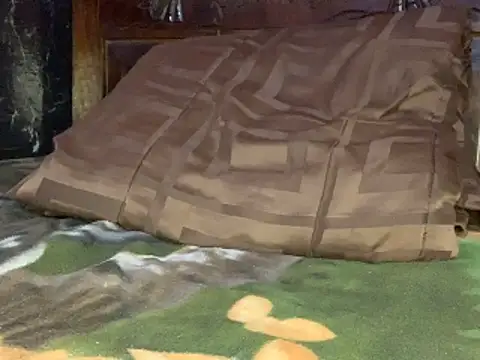 دردشة tanned_boy الجنسية المباشرة