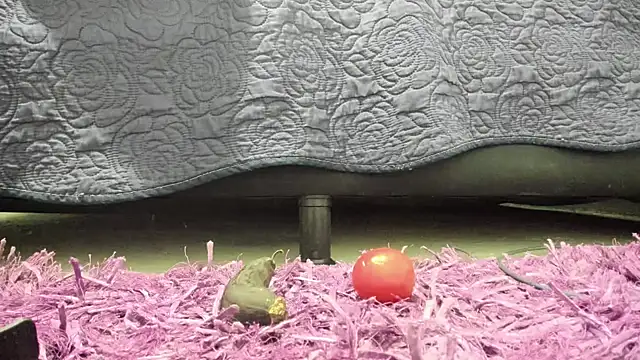 jupiter_333's Live XXX Chat