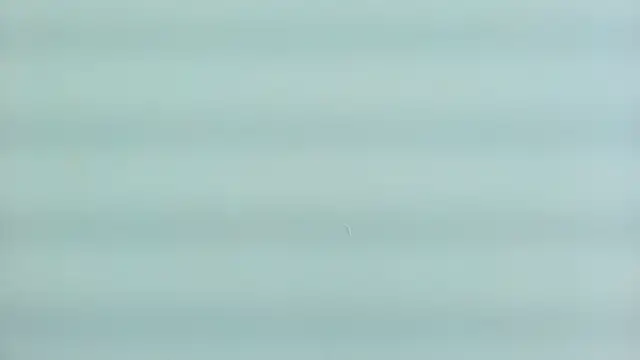 Živý XXX chat AprillRoss