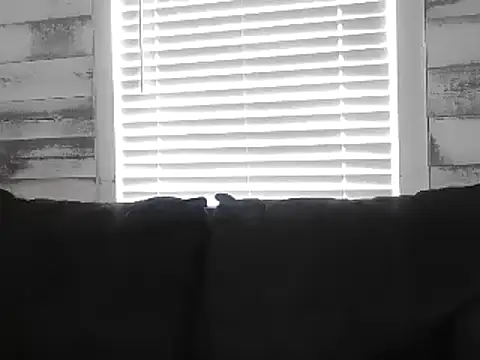 AshleyRain's Live XXX Chat