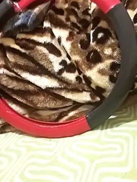 Alevsiz Chat XXX in diretta