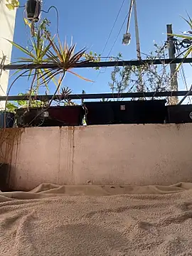 MiaFoxie – Live XXX-chat