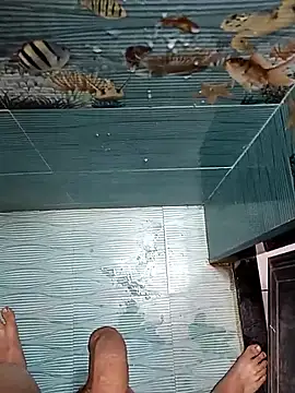 FloweredShallow Chat XXX live