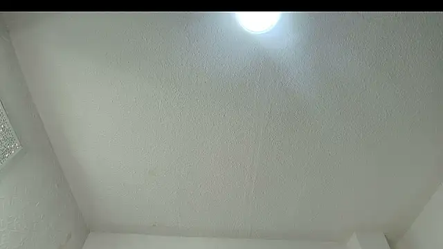 BelaVelvet_ Live XXX-chat