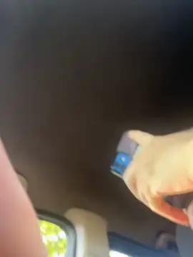 vinihfeh Live XXX-Chat