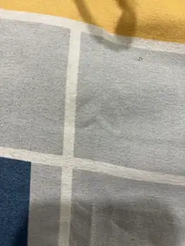 Show webcam de rajapo_1