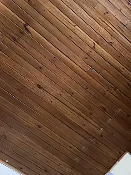 scarlet_tommy's Webcam Show